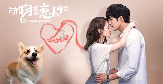 清朝时期的“一里四甲”现在是宝应县的什么地方?-全方位有问必答平台