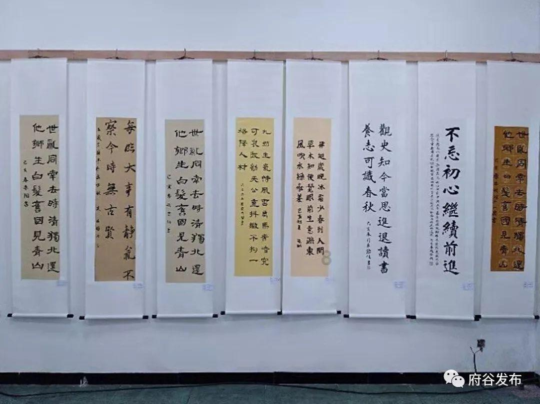 小鸡要回家